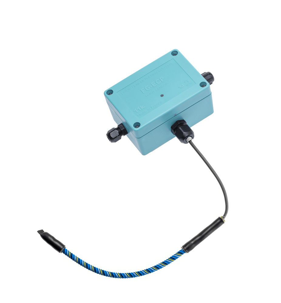 Leak Detection for Hidden Water Issues