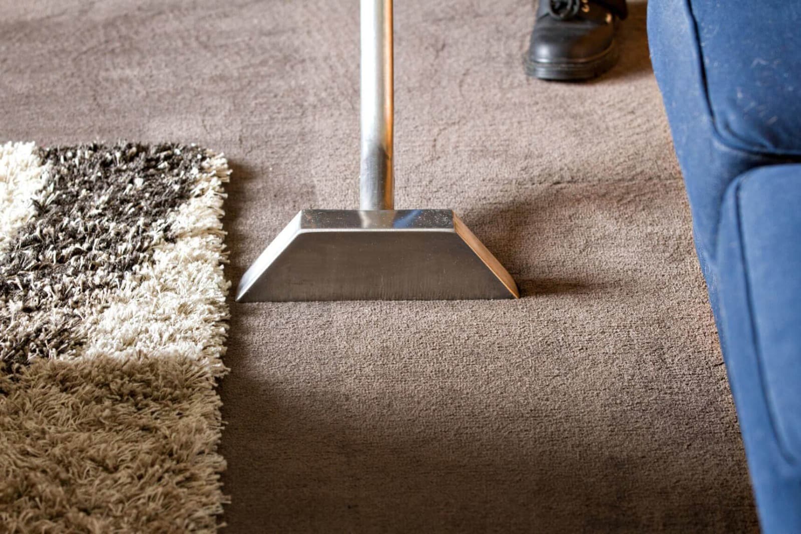 Affordable Carpet Cleaning Specials for Homes &amp; Businesses