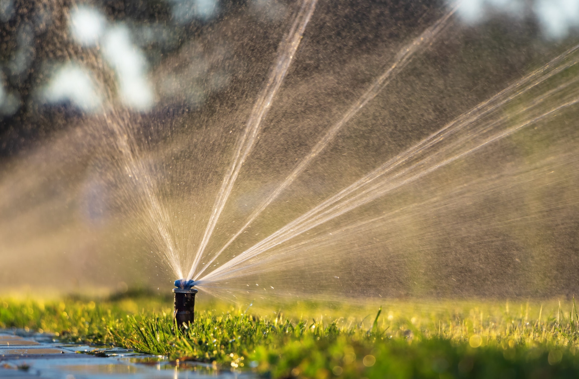 Professional Irrigation Services in Hudson Oaks, TX That Boost Landscape Health